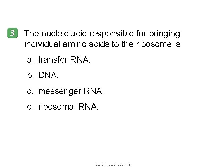 12– 3 The nucleic acid responsible for bringing individual amino acids to the ribosome