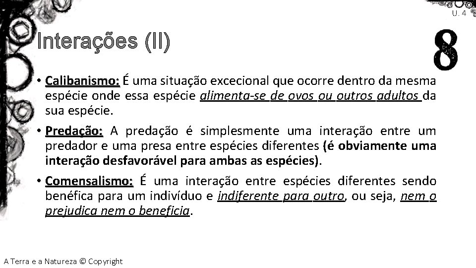 Interações (II) • Calibanismo: É uma situação excecional que ocorre dentro da mesma espécie