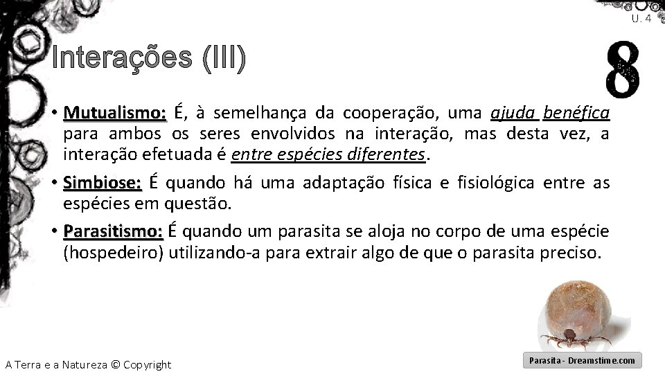 Interações (III) • Mutualismo: É, à semelhança da cooperação, uma ajuda benéfica para ambos