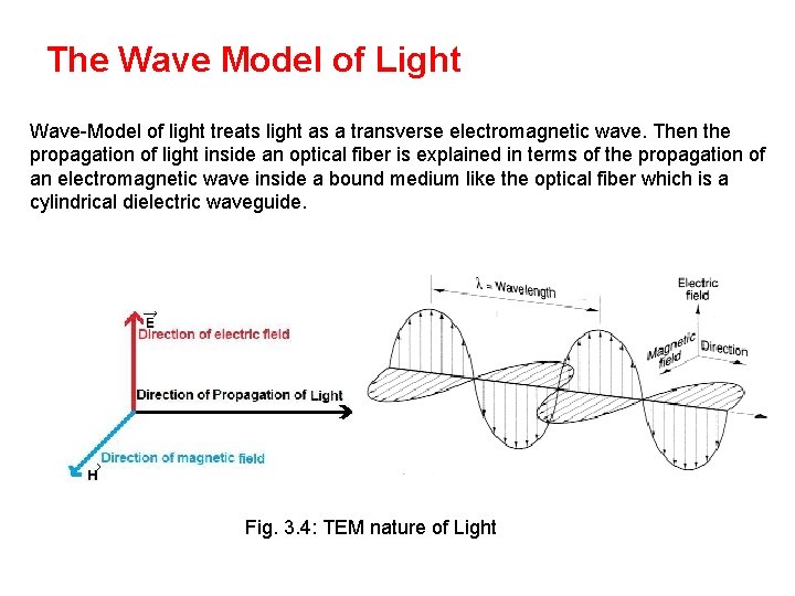 The Wave Model of Light Wave-Model of light treats light as a transverse electromagnetic