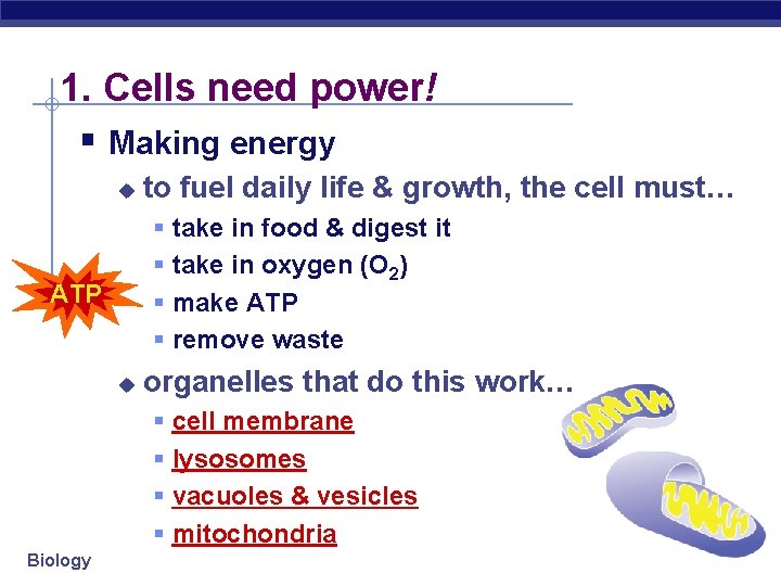 1. Cells need power! § Making energy u to fuel daily life & growth,