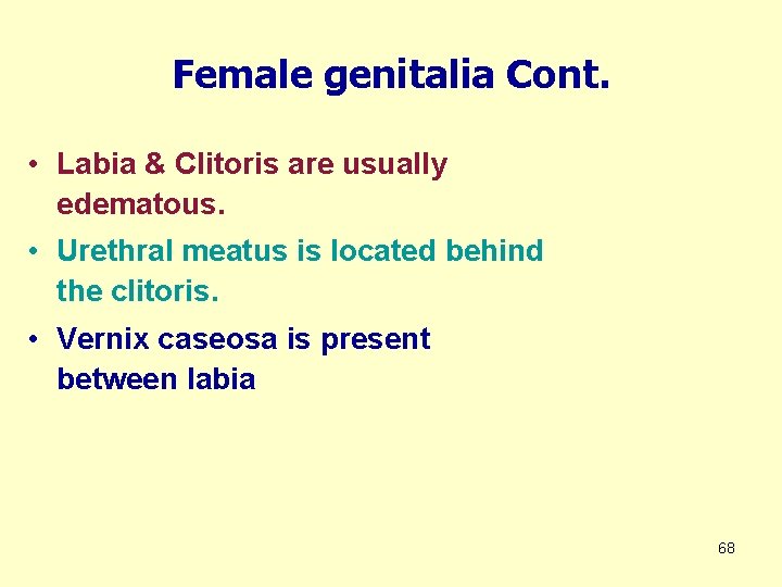 Female genitalia Cont. • Labia & Clitoris are usually edematous. • Urethral meatus is
