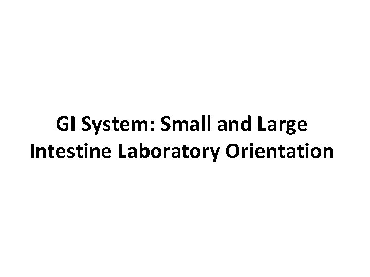 GI System: Small and Large Intestine Laboratory Orientation 