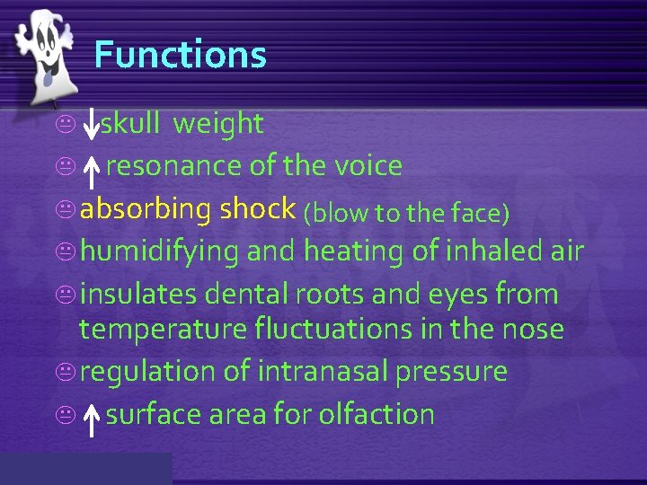 Functions skull weight K resonance of the voice K absorbing shock (blow to the