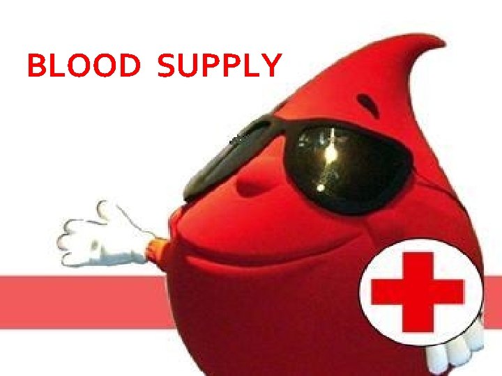 BLOOD SUPPLY 