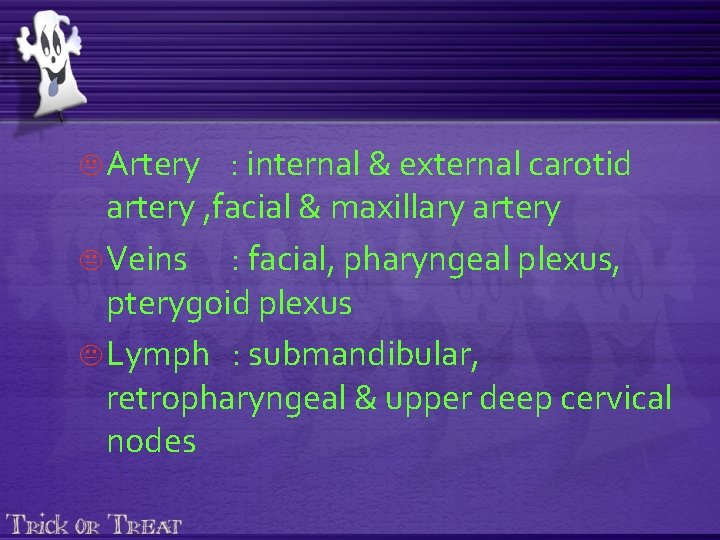 K Artery : internal & external carotid artery , facial & maxillary artery K