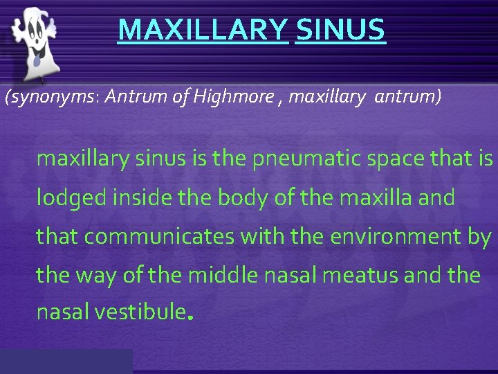 MAXILLARY SINUS (synonyms: Antrum of Highmore , maxillary antrum) maxillary sinus is the pneumatic