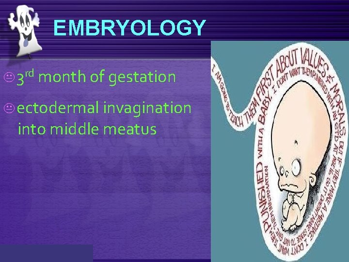 EMBRYOLOGY K 3 rd month of gestation K ectodermal invagination into middle meatus 