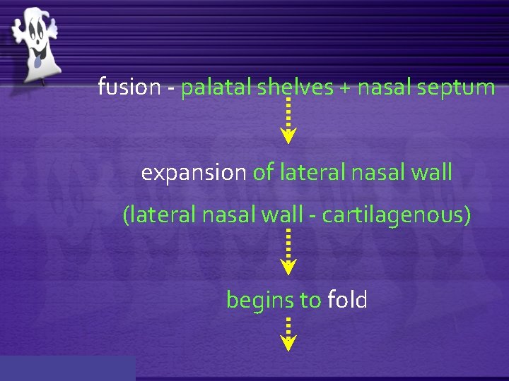 fusion - palatal shelves + nasal septum expansion of lateral nasal wall (lateral nasal