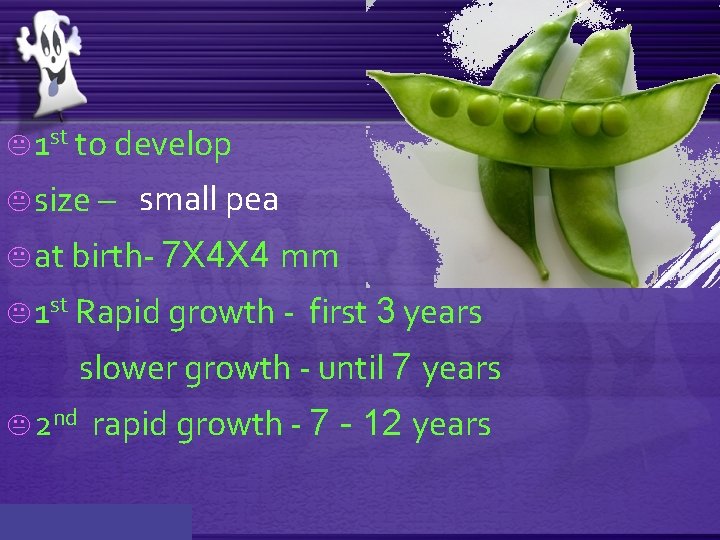 K 1 st to develop K size – small pea K at birth- 7