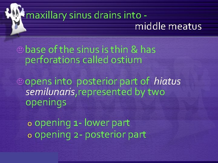 maxillary sinus drains into middle meatus K base of the sinus is thin &