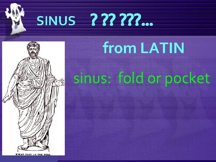 SINUS ? ? ? . . . from LATIN sinus: fold or pocket 