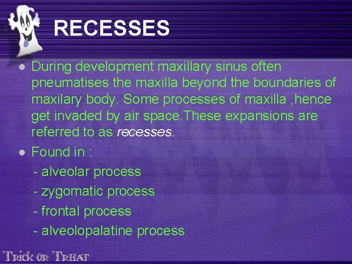 RECESSES l l During development maxillary sinus often pneumatises the maxilla beyond the boundaries