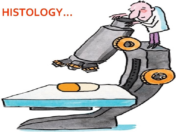 HISTOLOGY… 
