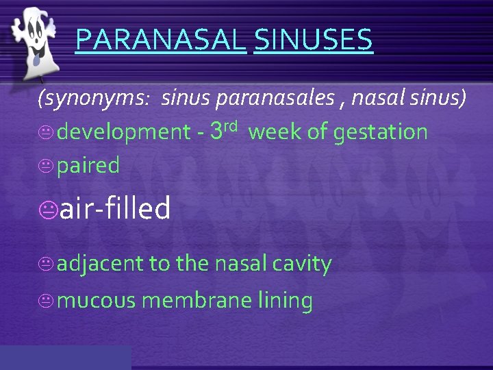 PARANASAL SINUSES (synonyms: sinus paranasales , nasal sinus) K development - 3 rd week