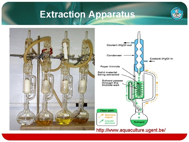 Extraction Apparatus http: //www. aquaculture. ugent. be/ 