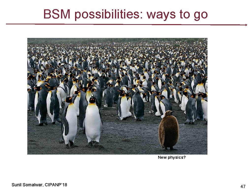 BSM possibilities: ways to go New physics? Sunil Somalwar, CIPANP’ 18 47 