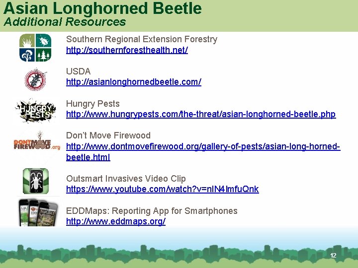 Asian Longhorned Beetle Additional Resources Southern Regional Extension Forestry http: //southernforesthealth. net/ USDA http: