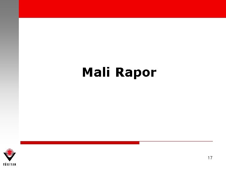 Mali Rapor 17 