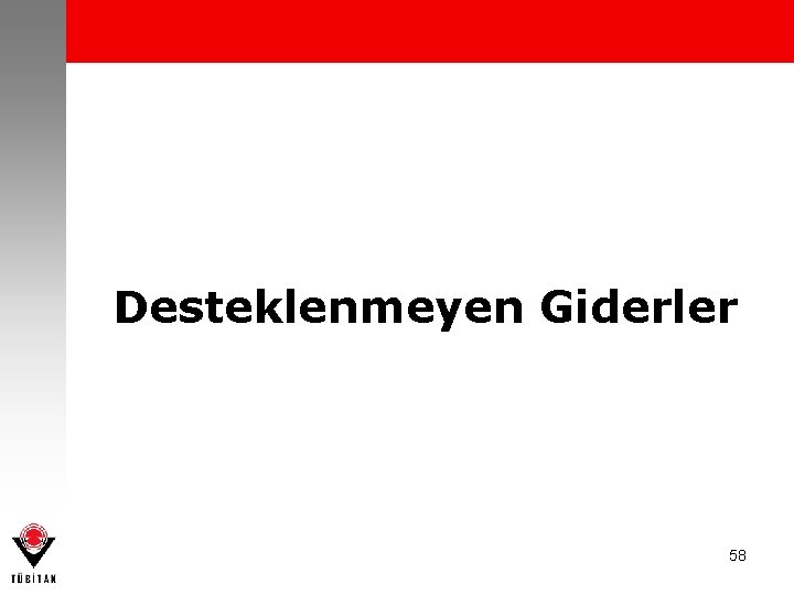 Desteklenmeyen Giderler 58 