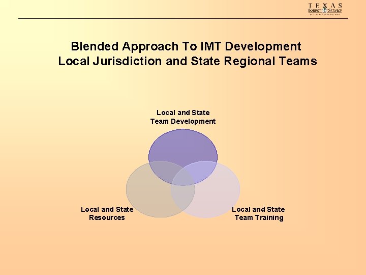Blended Approach To IMT Development Local Jurisdiction and State Regional Teams Local and State