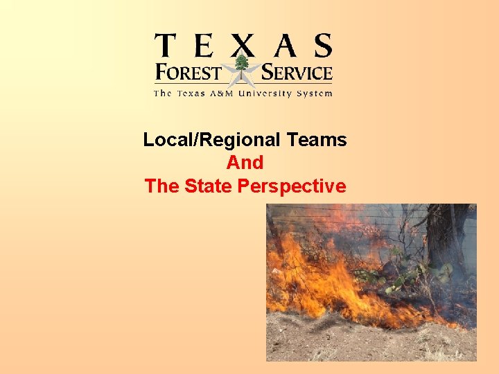 Local/Regional Teams And The State Perspective 