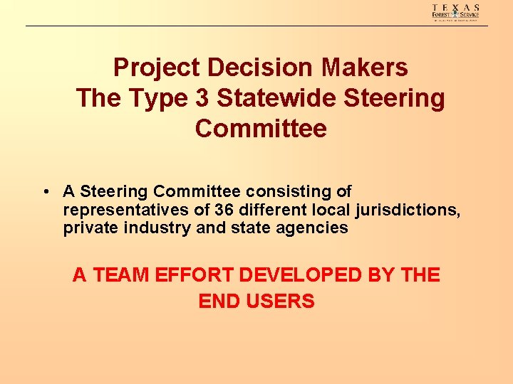 Project Decision Makers The Type 3 Statewide Steering Committee • A Steering Committee consisting