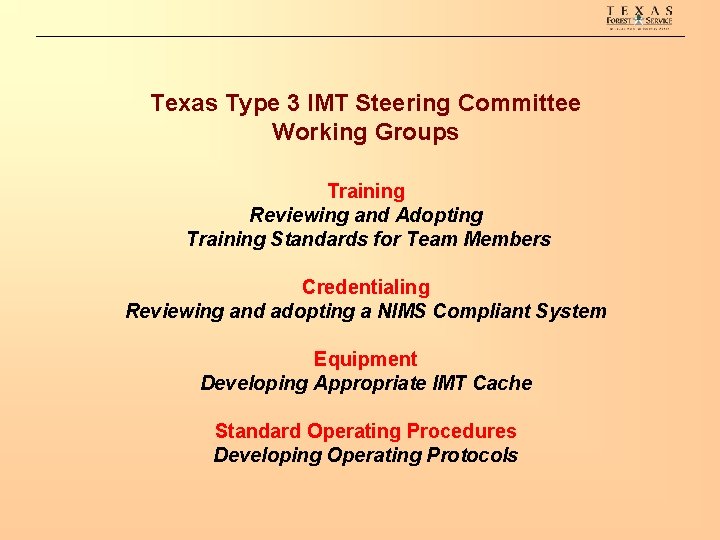 Texas Type 3 IMT Steering Committee Working Groups Training Reviewing and Adopting Training Standards