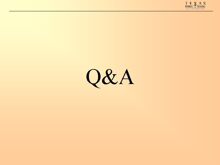 Q&A 