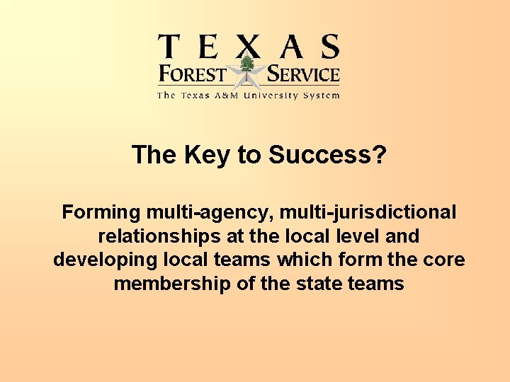The Key to Success? Forming multi-agency, multi-jurisdictional relationships at the local level and developing