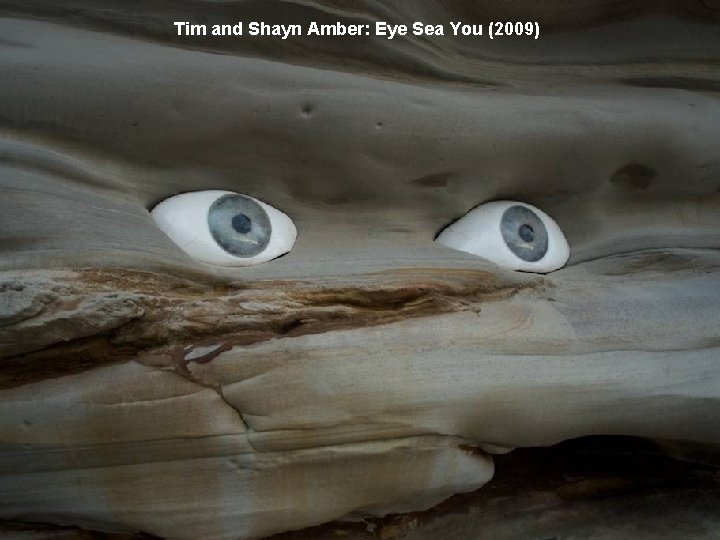 Tim and Shayn Amber: Eye Sea You (2009) 