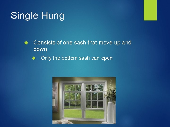 Single Hung Consists of one sash that move up and down Only the bottom