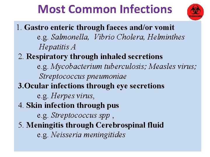 Most Common Infections 1. Gastro enteric through faeces and/or vomit e. g. Salmonella, Vibrio