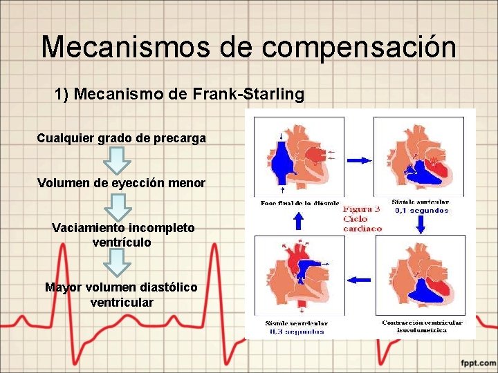 Mecanismos de compensación 1) Mecanismo de Frank-Starling Cualquier grado de precarga Volumen de eyección