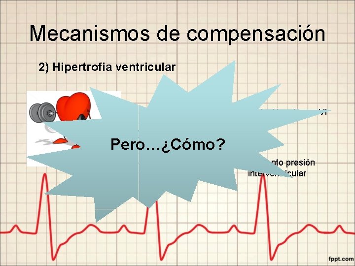 Mecanismos de compensación 2) Hipertrofia ventricular Dilatación cámara VI Stress Pero…¿Cómo? Aumento presión interventricular