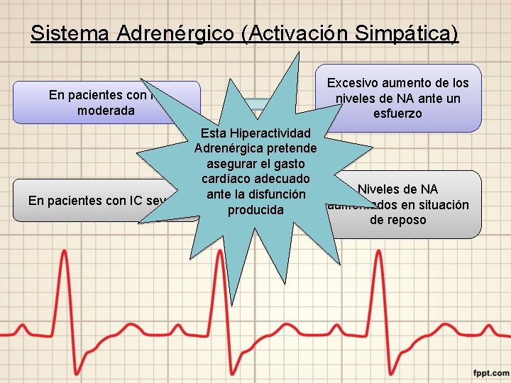 Sistema Adrenérgico (Activación Simpática) En pacientes con IC moderada Excesivo aumento de los niveles