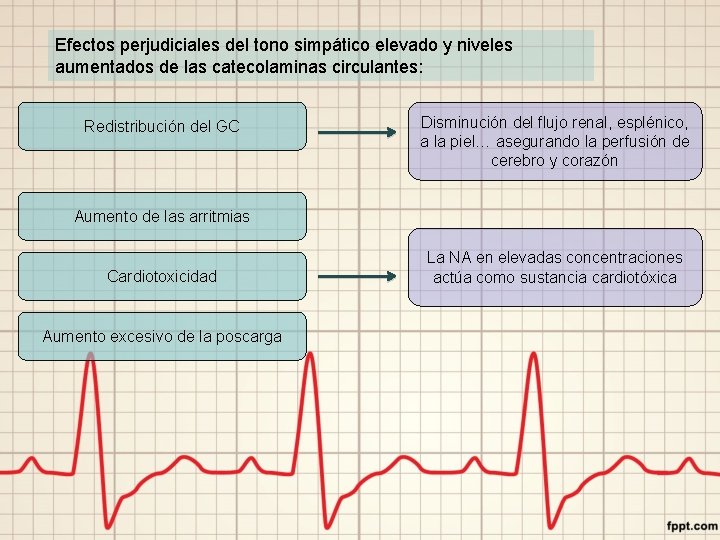 Efectos perjudiciales del tono simpático elevado y niveles aumentados de las catecolaminas circulantes: Redistribución