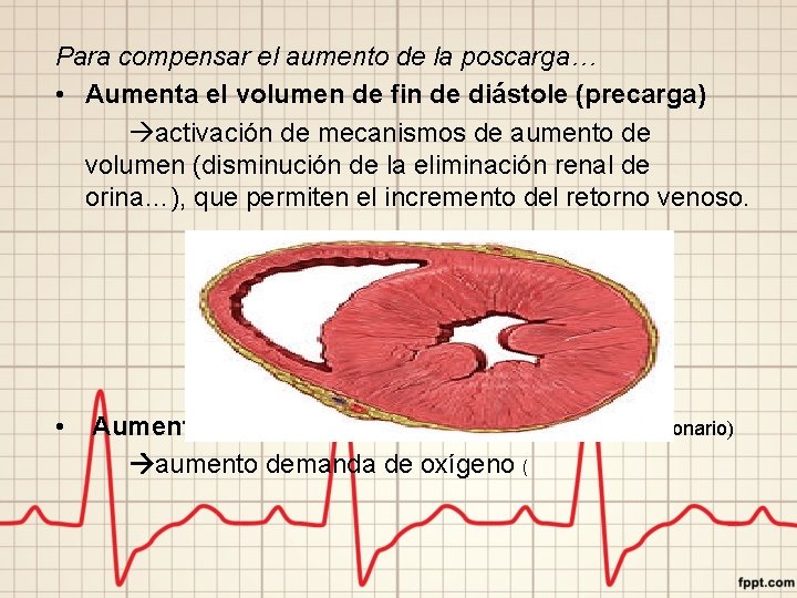 Para compensar el aumento de la poscarga… • Aumenta el volumen de fin de