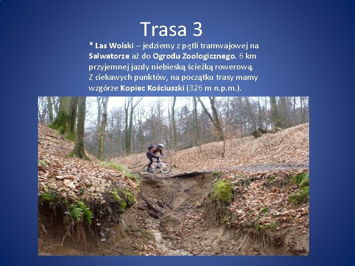 Trasa 3 * Las Wolski – jedziemy z pętli tramwajowej na Salwatorze aż do