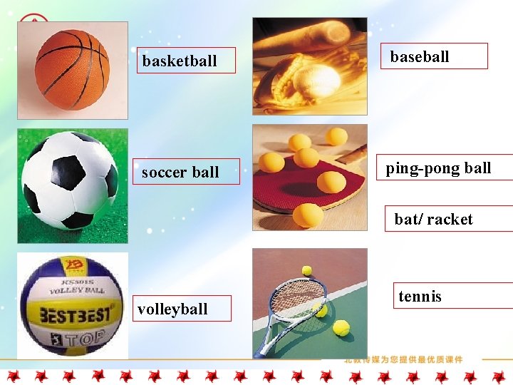 basketball baseball soccer ball ping-pong ball bat/ racket volleyball tennis 