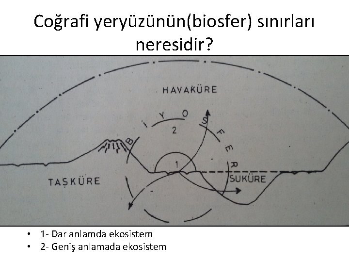 Coğrafi yeryüzünün(biosfer) sınırları neresidir? • 1 - Dar anlamda ekosistem • 2 - Geniş