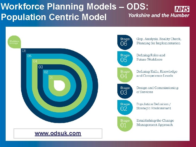 Workforce Planning Models – ODS: Population Centric Model www. odsuk. com Workforce Planning Models – ODS: Population Centric Model www. odsuk. com