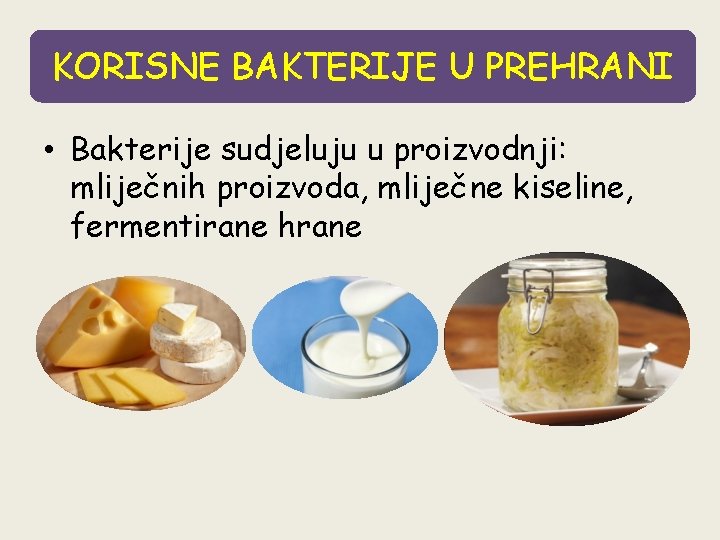 KORISNE BAKTERIJE U PREHRANI • Bakterije sudjeluju u proizvodnji: mliječnih proizvoda, mliječne kiseline, fermentirane