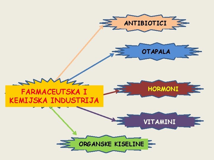 ANTIBIOTICI OTAPALA HORMONI FARMACEUTSKA I KEMIJSKA INDUSTRIJA VITAMINI ORGANSKE KISELINE 