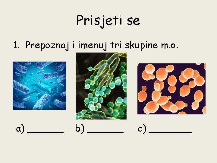 Prisjeti se 1. Prepoznaj i imenuj tri skupine m. o. a) ______ b) ______