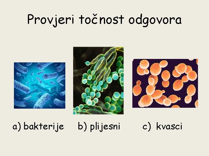 Provjeri točnost odgovora a) bakterije b) plijesni c) kvasci 