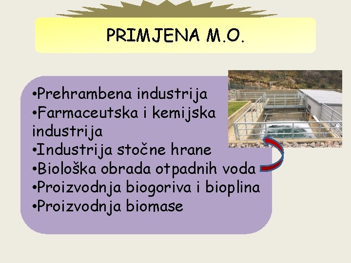 PRIMJENA M. O. • Prehrambena industrija • Farmaceutska i kemijska industrija • Industrija stočne