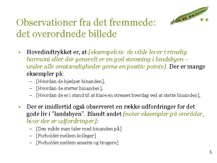 Observationer fra det fremmede: det overordnede billede • Hovedindtrykket er, at [eksempelvis: de vilde