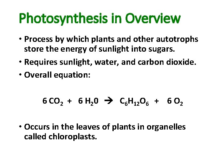Photosynthesis in Overview • Process by which plants and other autotrophs store the energy