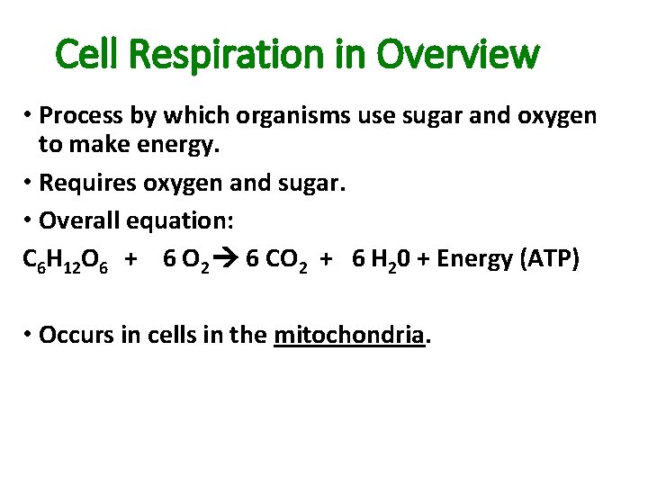 Cell Respiration in Overview • Process by which organisms use sugar and oxygen to